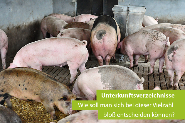 Vielfalt im Schweinestall